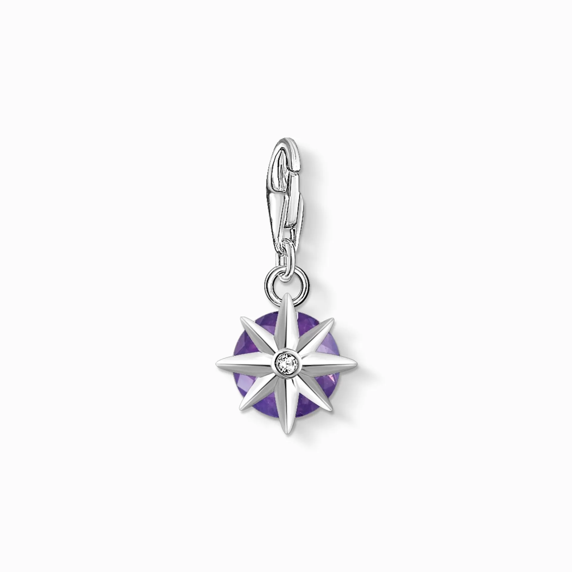 THOMAS SABO Charms | Charms<CHARM-H&AUML;NGSMYCKE M&ARING;NADSSTEN FEBRUARI violett, vit, silverfargad