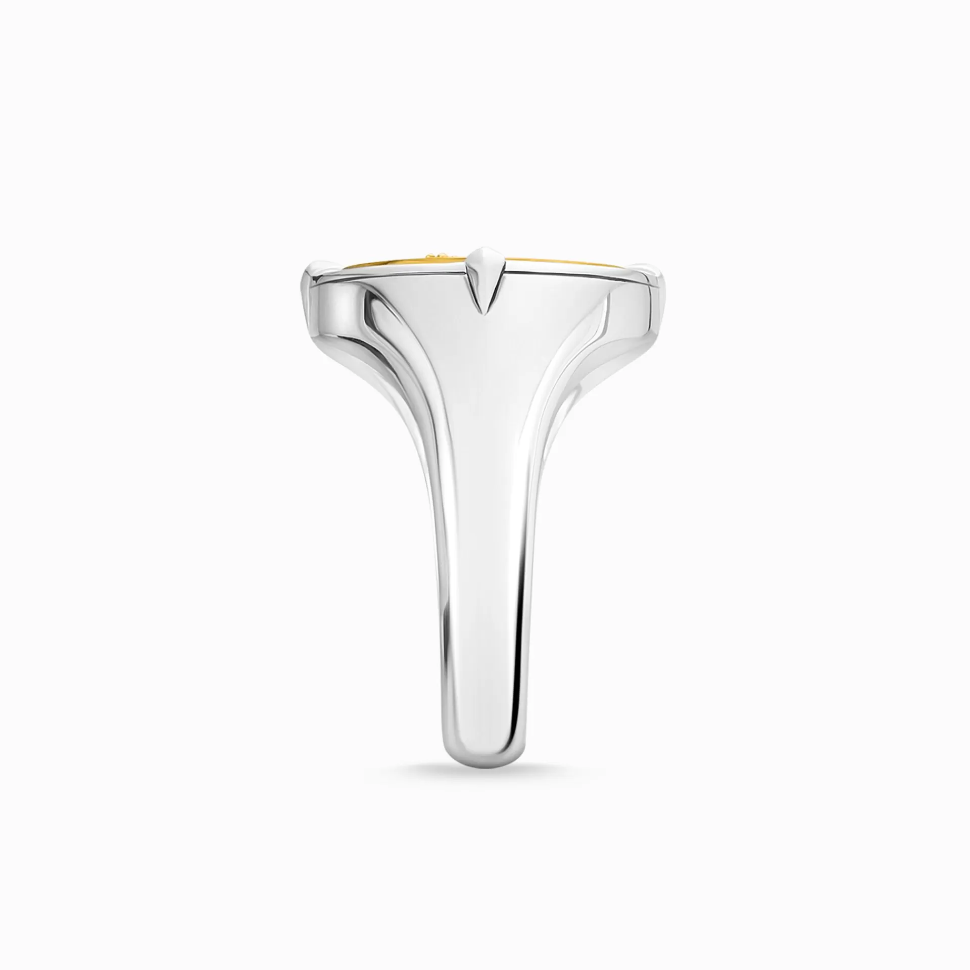 THOMAS SABO Ringar | 18K plätering<RING TRO, HOPP OCH K&AUML;RLEK gult guldfargad, svart, silverfargad